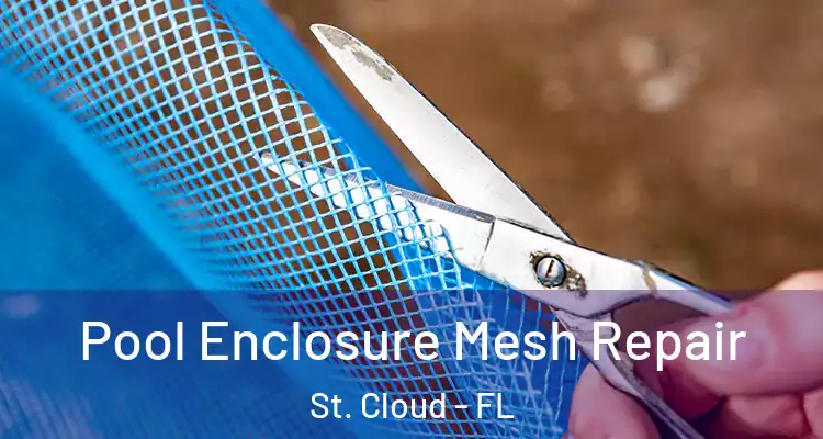  Pool Enclosure Mesh Repair St. Cloud - FL